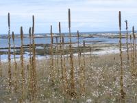 Albums/20060200-New Zealand 2006/20060318-Kaikiura/15